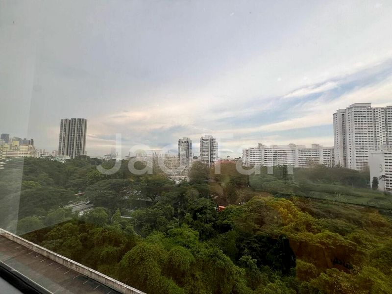 3 Bed Condo for Rent in  Central Grove - Image 4